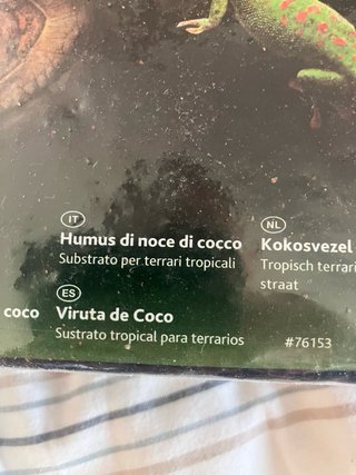 Todos productos necesarios para un terrario