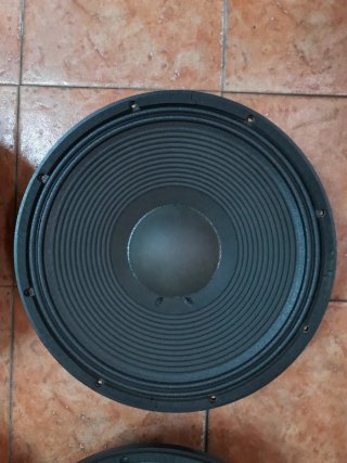 Altavoces DAS 15G