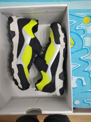 Zapatos Geox