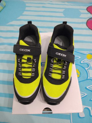 Zapatos Geox