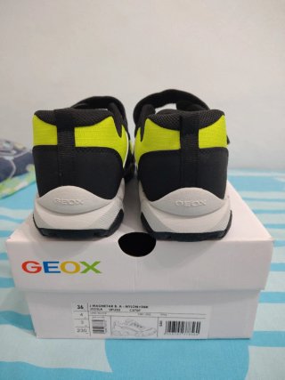 Zapatos Geox