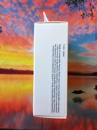 Alimentatore Apple USB-C 20W Ricarica Rapida