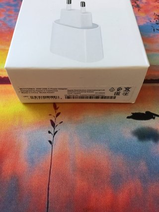 Alimentatore Apple USB-C 20W Ricarica Rapida