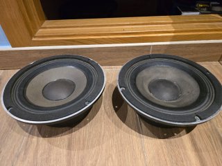 Altavoces Beyma Pro
