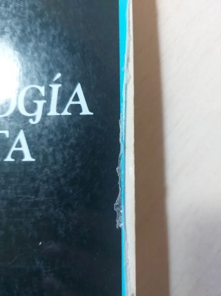 Antropología feminista