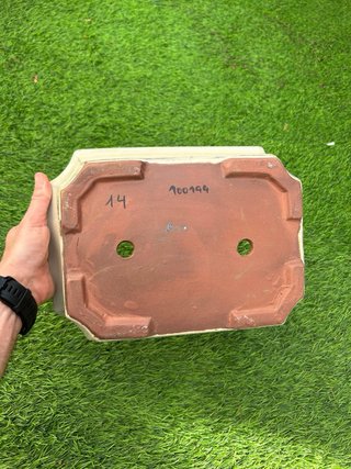 Maceta Bonsai REBAJADA hasta 16/06