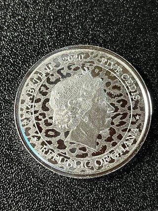 Moneda Plata Leopardo Africano Ghana 2020 1 oz