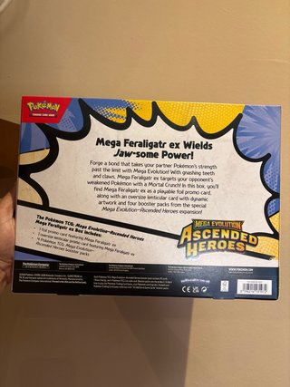Ascended Heroes Pokemon TCG