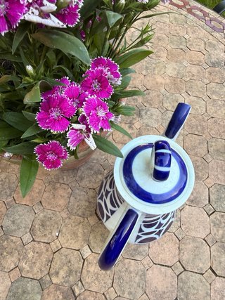 Jarra de café Sargadelos azul y blanco
