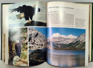 La aventura de la vida crónica de viajes
