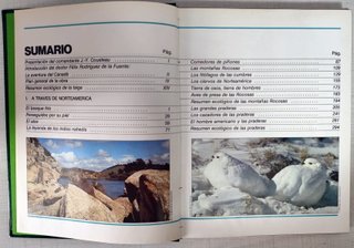 La aventura de la vida crónica de viajes