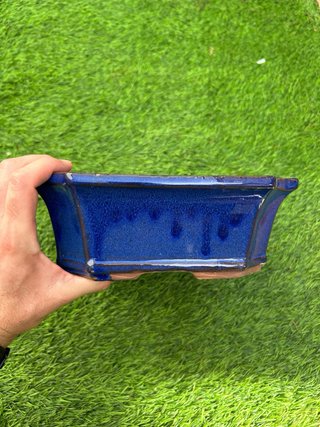 Maceta Bonsai REBAJADA hasta 16/06