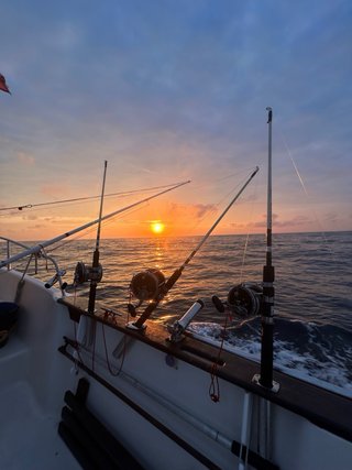 Salidas de pesca de bonito