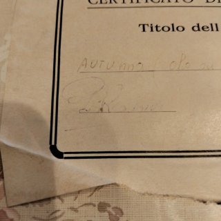 Set 4 Dipinti Olio Tela Cornice Legno