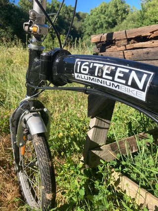 Bicicleta Plegable Negra