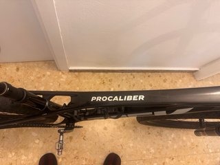 Trek Procaliber 2024 Gen 3