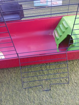 Jaula Conejo/Cobaya con Accesorios