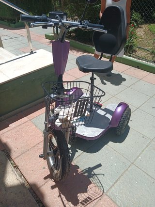 Triciclo Eléctrico Triad 1000W Quantum (Adultos)