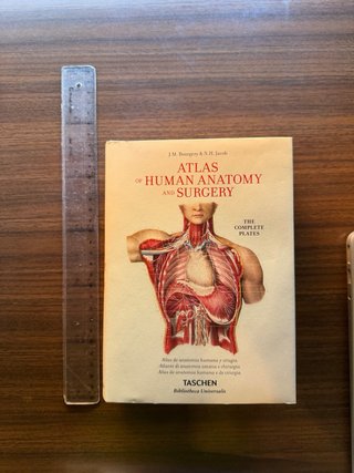 Atlas anatomia en ingles