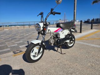 Honda Dax CT70 Blanca