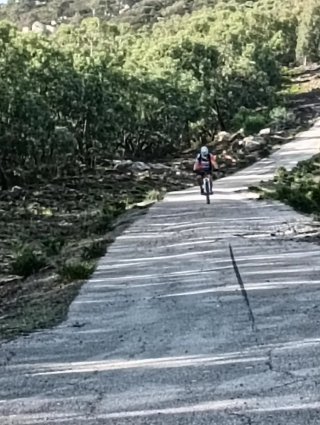 Bicicleta Trek Procaliber 9.6