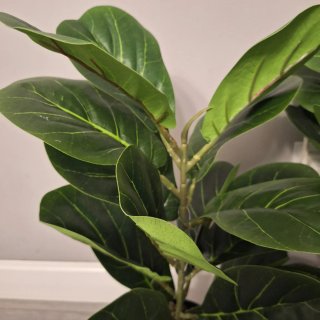Planta Ficus Artificial Decorativa
