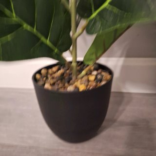Planta Ficus Artificial Decorativa