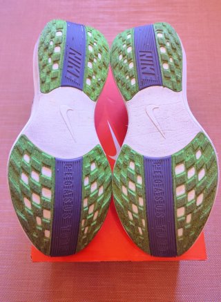 Nike Pegasus Plus