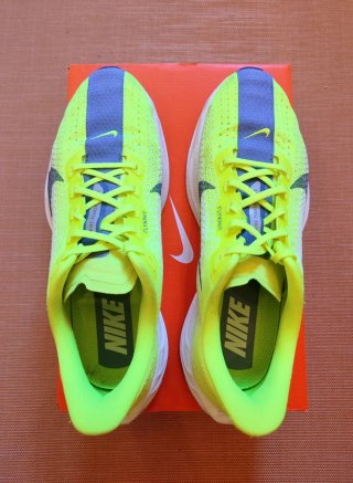 Nike Pegasus Plus