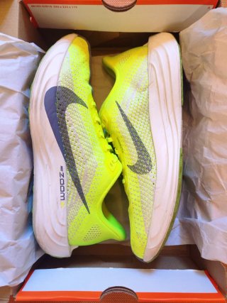 Nike Pegasus Plus