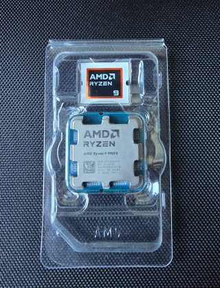 AMD Ryzen 9 9900X CPU