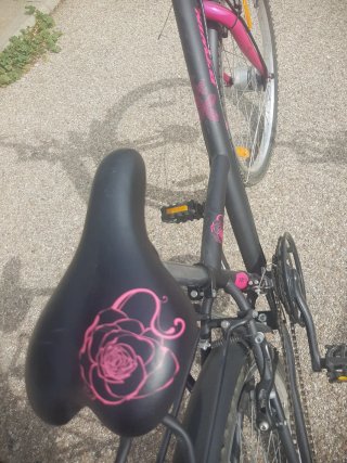 Bicicleta 24 pulgadas niña/o