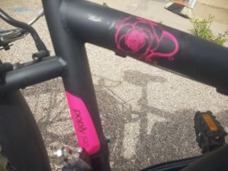 Bicicleta 24 pulgadas niña/o
