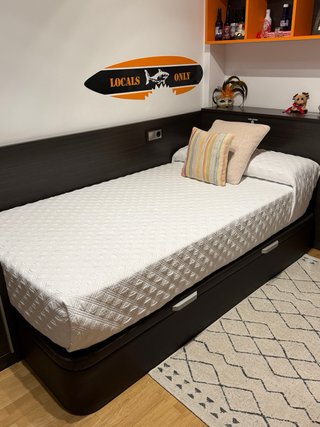 Cama canapé y colchón 105x200cm Muy nuevo
