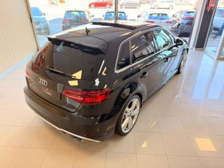 Audi S3 310cv Techo + Backets