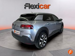 Citroën C4 Cactus PureTech 81KW (110CV) S&S Feel