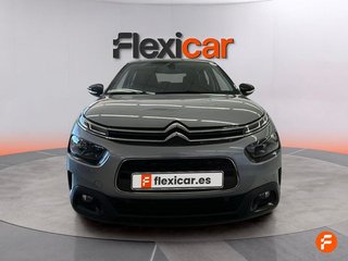 Citroën C4 Cactus PureTech 81KW (110CV) S&S Feel