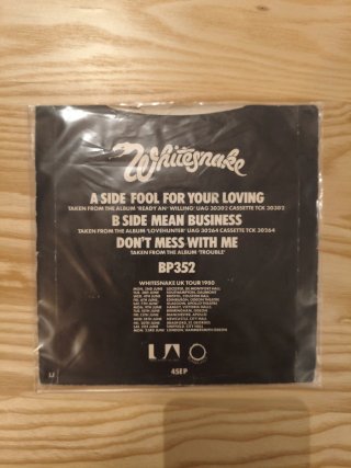 LOTE 2 SINGLES WHITE SNAKE VINILO 7" ROCK METAL
