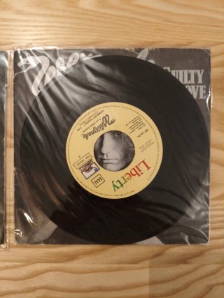LOTE 2 SINGLES WHITE SNAKE VINILO 7" ROCK METAL