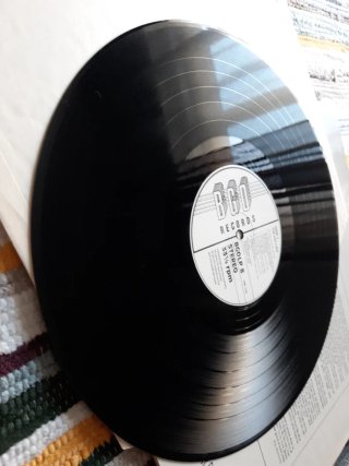 Vinilo The Hollies - In The Hollies Style