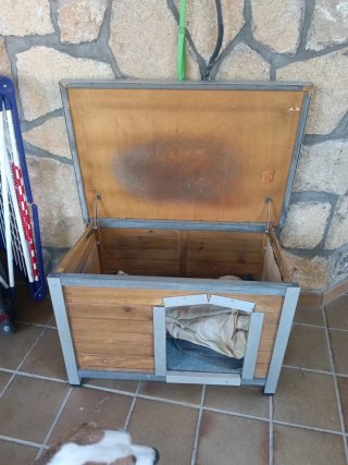Caseta para perro con tejado verde