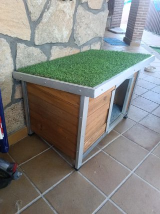 Caseta para perro con tejado verde