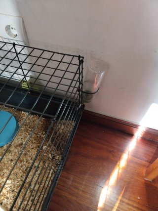 Jaula para mascotas negra y verde