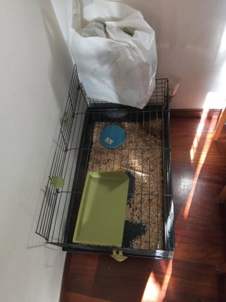 Jaula para mascotas negra y verde