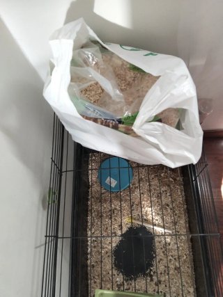 Jaula para mascotas negra y verde