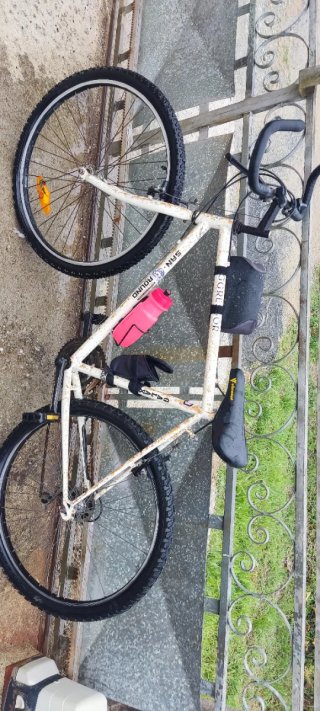 Bicicleta de Montaña