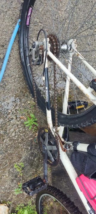 Bicicleta de Montaña