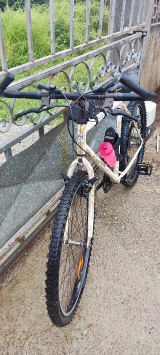 Bicicleta de Montaña
