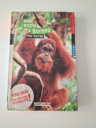 Un estiu a Borneo