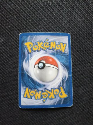 Charmander Holo 113/112 FL Pokémon